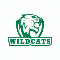 South Summit Wildcats